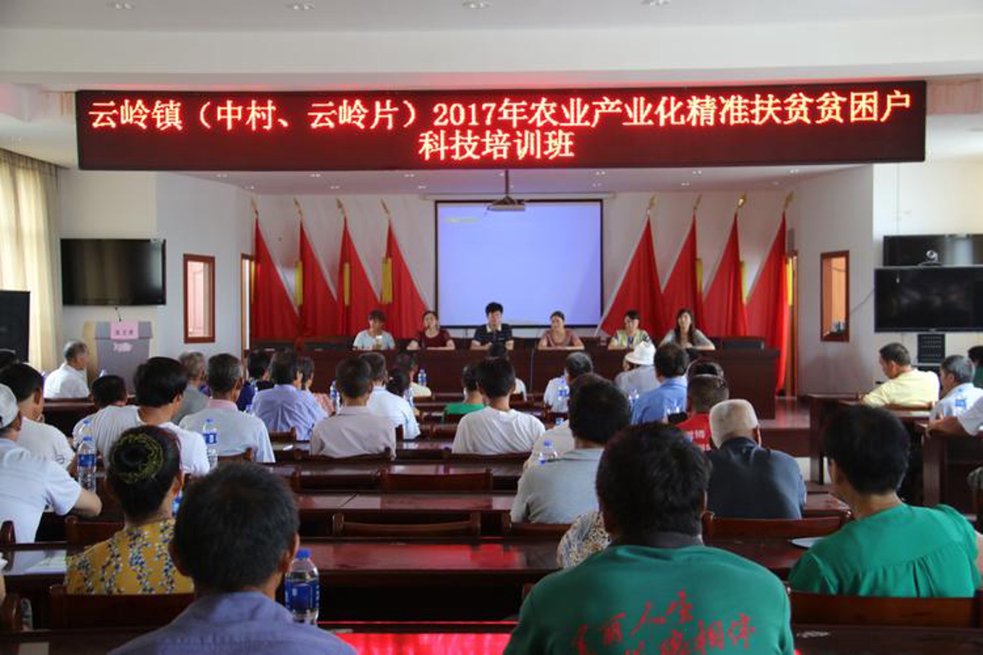 湉丽信息科技