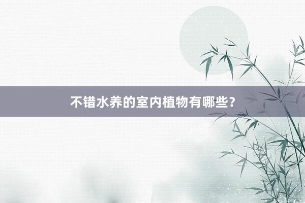 不错水养的室内植物有哪些？